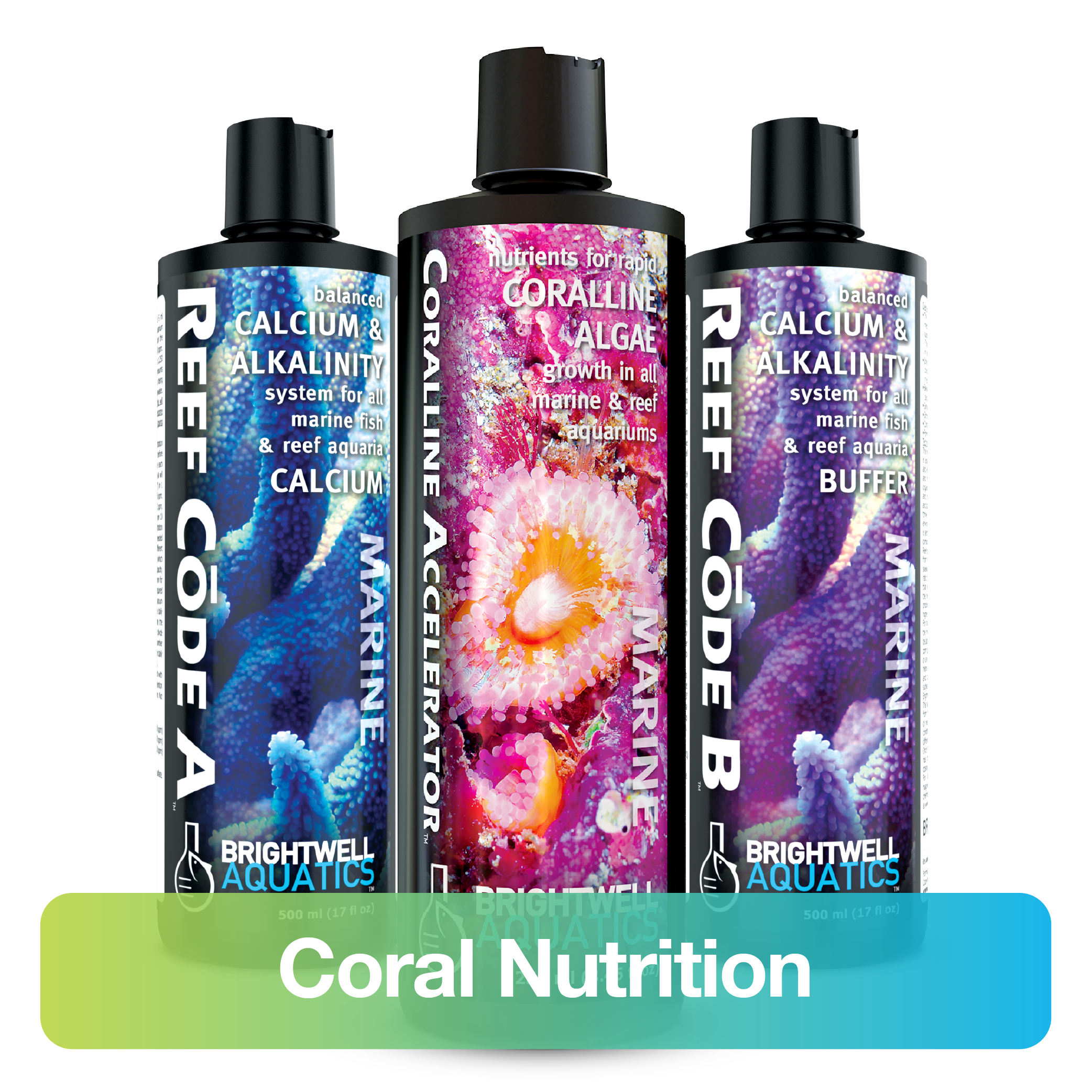thumbnail image 2 of Reef Nutrition RGComplete Micro Algae Blend Concentrate (32 Oz) - Premium Reef Supplement 2 of 3