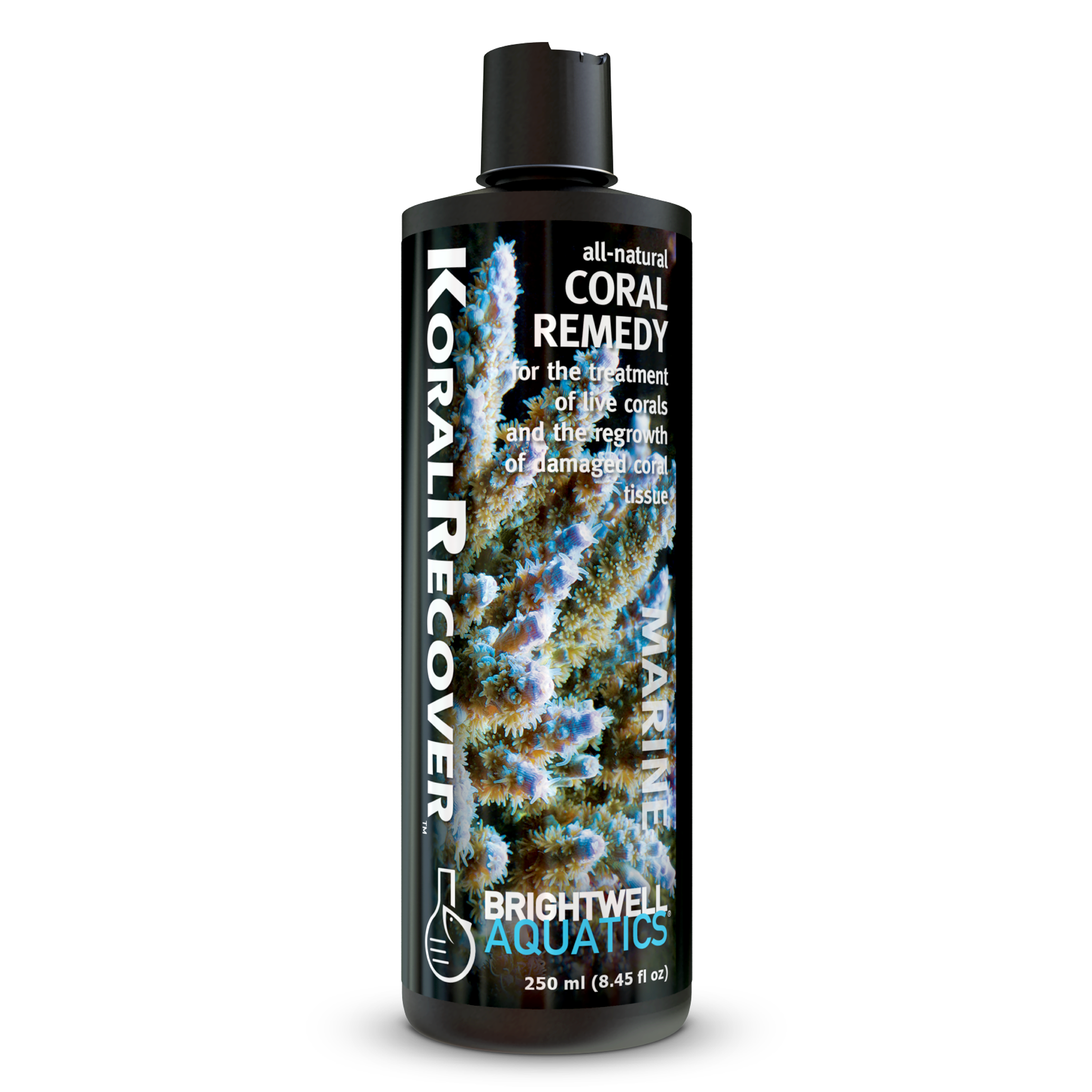 coralcoralページ Koral Recover