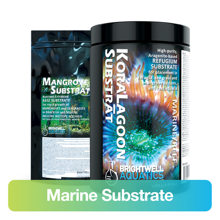 Marine Substrate