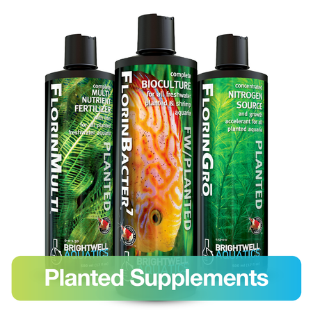 Planted Supplements