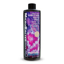 MicroBacter Purple M