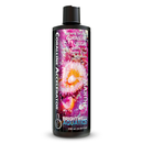 Coralline Accelerator