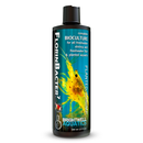 Shrimp FlorinBacter7