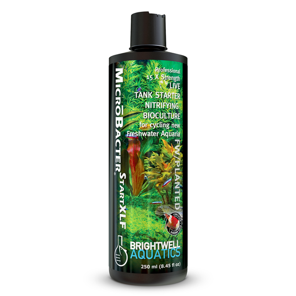 まさまるOmg(spore) 【V8】Bacteria (TC)【1】 Mega Sporebiotic – Magnolia Pharmacy - TX